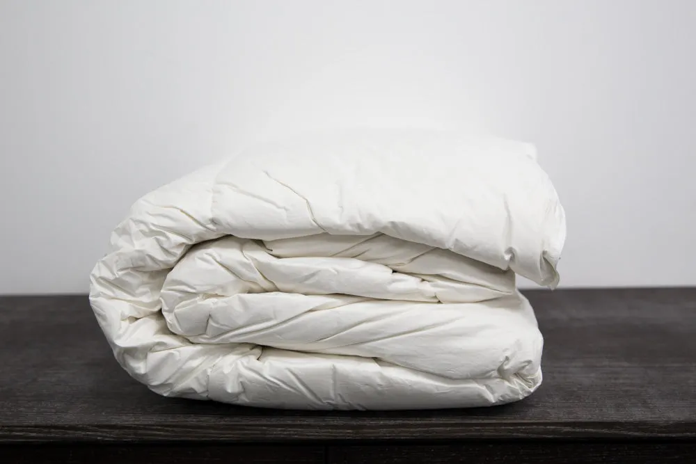 Pillowtex High End Down Comforter